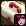 DNF�´���������л�� ��ħֵҪ�󽵵�