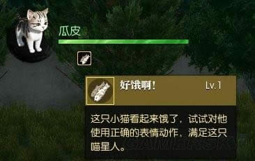 ��ˮ�����β�ʺ�ٳƺ���ô�� ��ˮ���������Сè�øж�