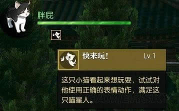 ��ˮ�����β�ʺ�ٳƺ���ô�� ��ˮ���������Сè�øж�
