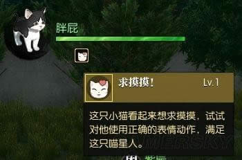 ��ˮ�����β�ʺ�ٳƺ���ô�� ��ˮ���������Сè�øж�