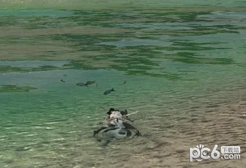 ��ˮ������ص���ʲô�ط� ��ˮ�������ˢ��ʱ��
