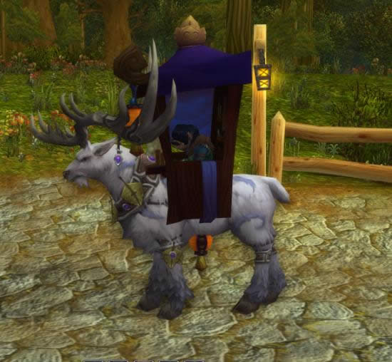 �ܶ�С�¶���֪�� wow6.0С���ش�NERF���鹥��